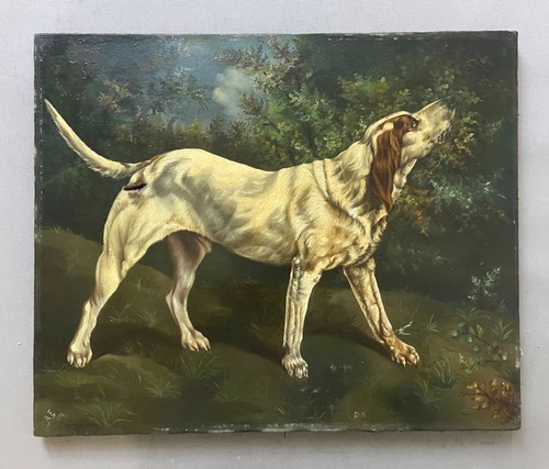 Jagdhund öl auf leinwand - auf,