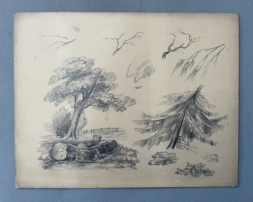 Bäume baumlandschaft alte - baumlandschaft,,